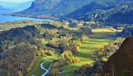 <b>乔治梅森大学租房攻略</b>