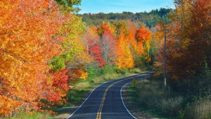 <b>投资美国房产，买房比租房便宜</b>