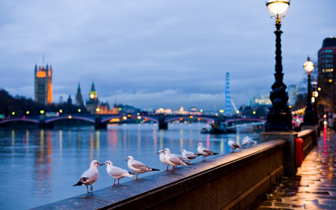 <b>投资英国房产该如何选择？</b>