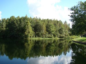 <b>佛罗里达租房的这些事你都知道吗？</b>