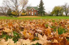 在约克租房需要交押金吗？